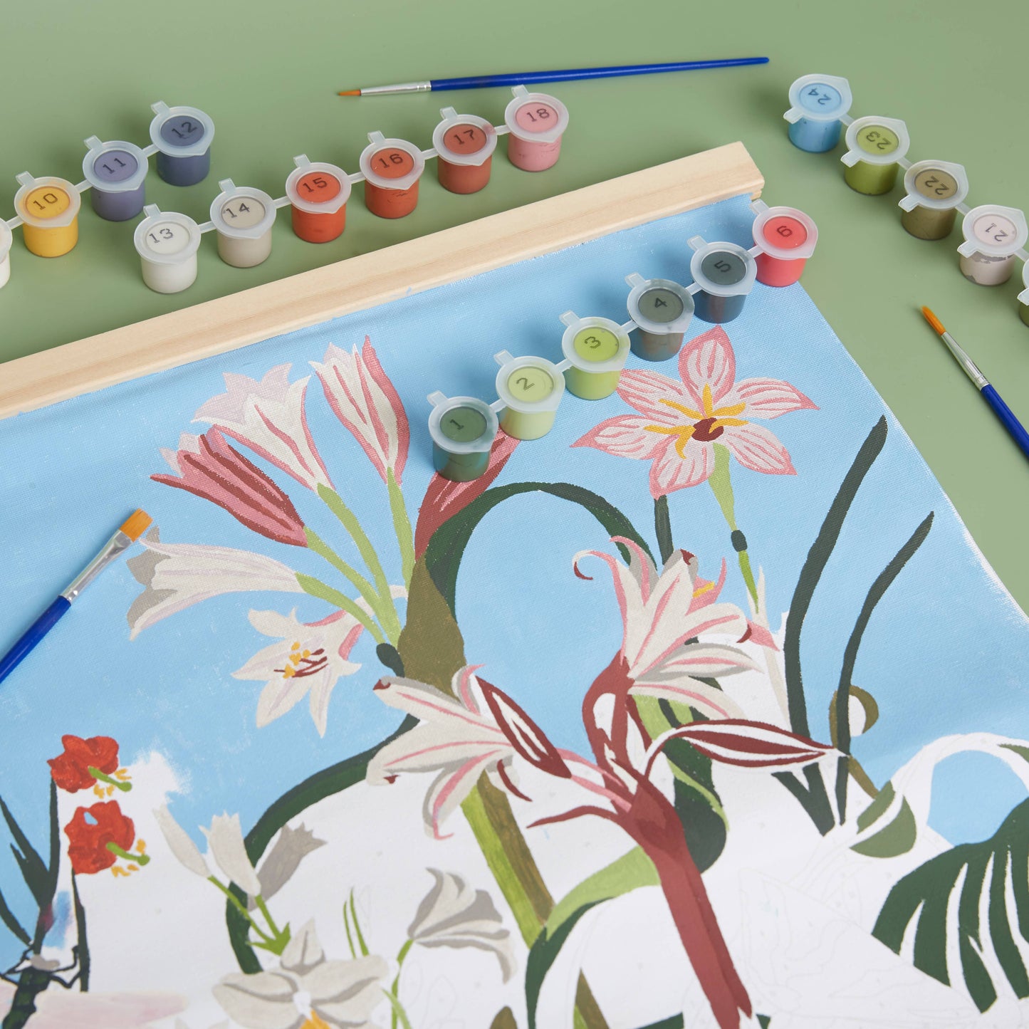 Royal Horticultural Society Paint By Number Kit - Exotic