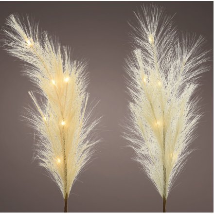 CREAM PAMPAS FABRIC PLUMES WITH LEDS, 70CM
