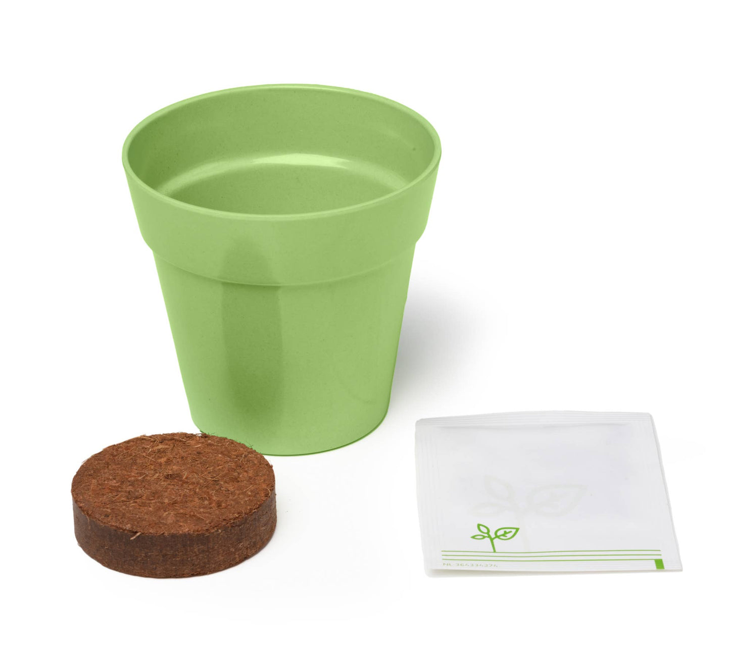 Children's Grow Your Own Cucamelons Growing Kit
