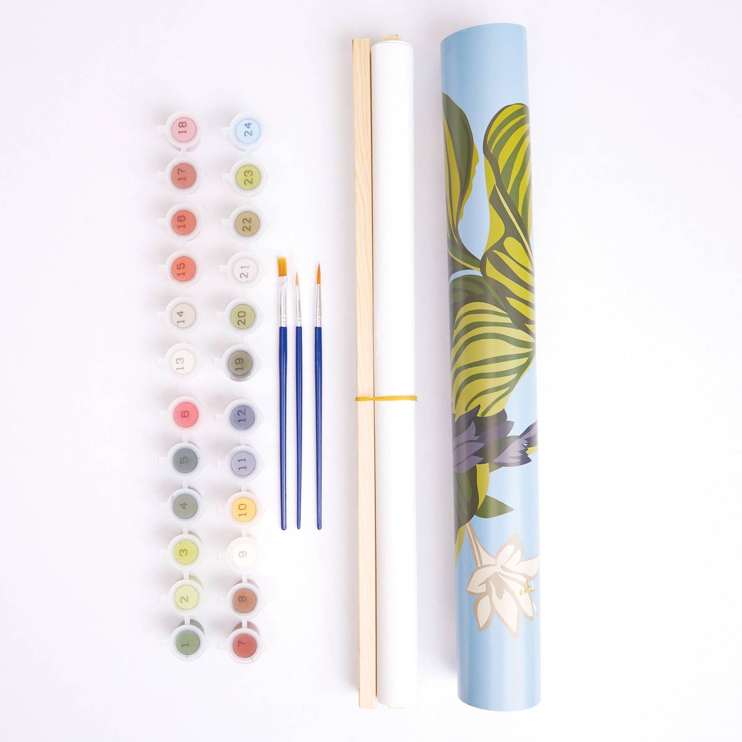 Royal Horticultural Society Paint By Number Kit - Exotic