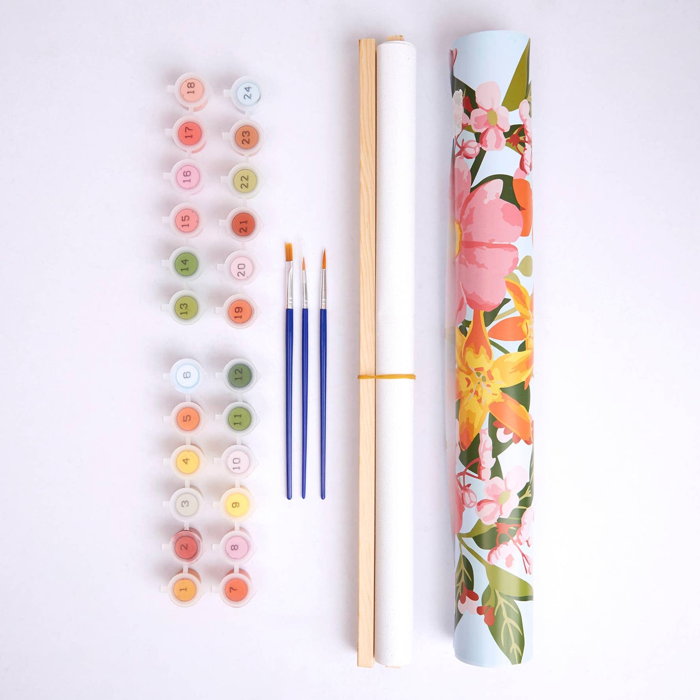 Royal Horticultural Society Paint By Number Kit Flower Bloom