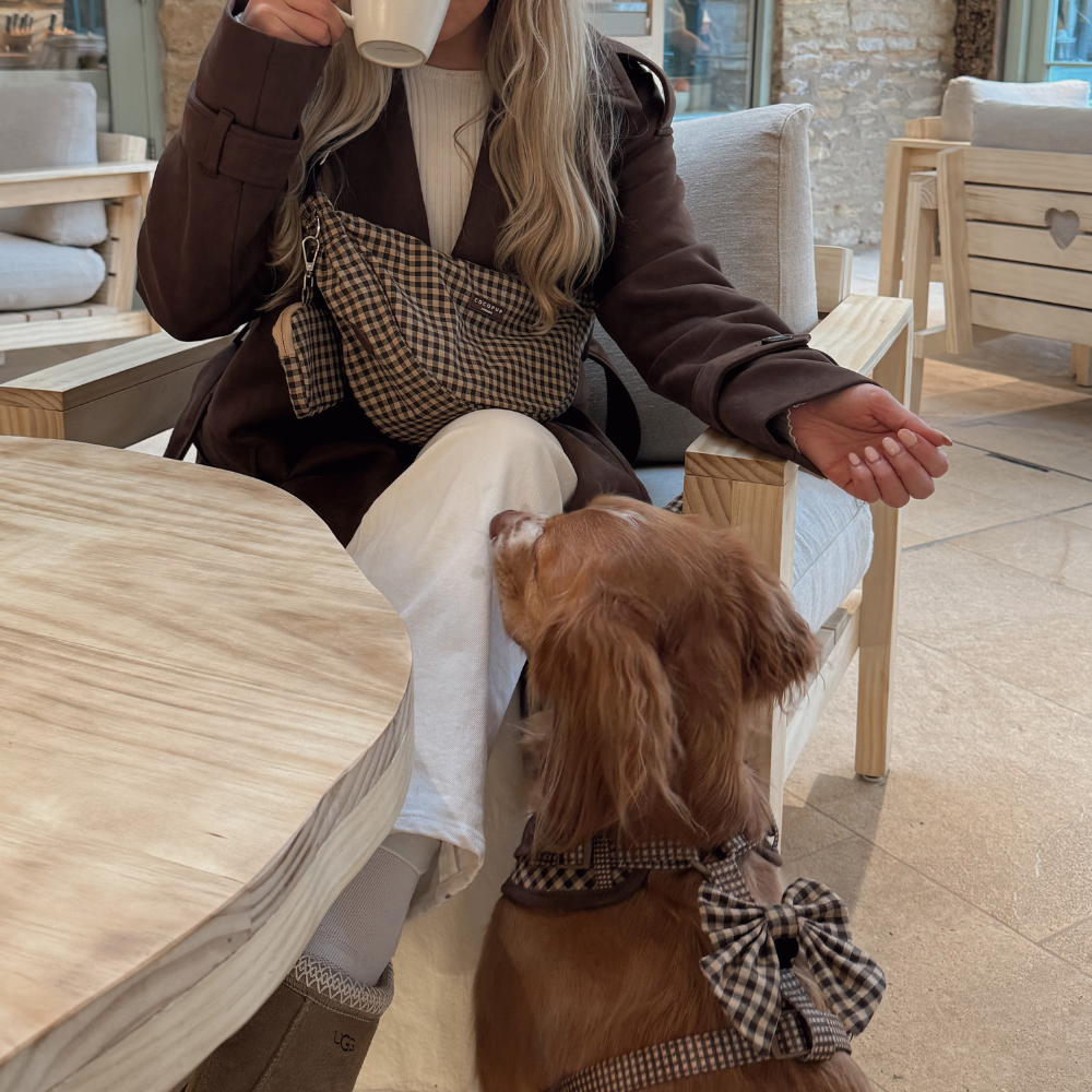 Cotswolds Check Sailor Bow Tie