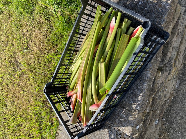 New Yorkshire Emporium – Rhubarb Chilli Jam