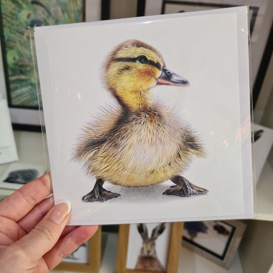 Duckling - Greetings Card
