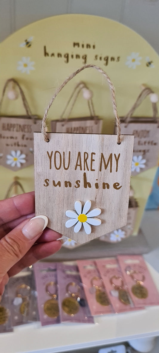 Mini Wooden Hanging Sign, you are my sunshine