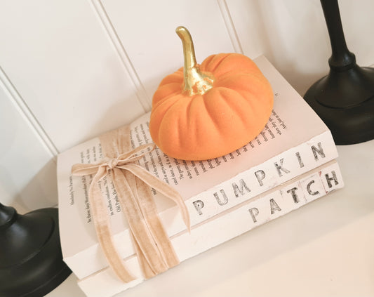 Pumpkin Patch Display Book Stand