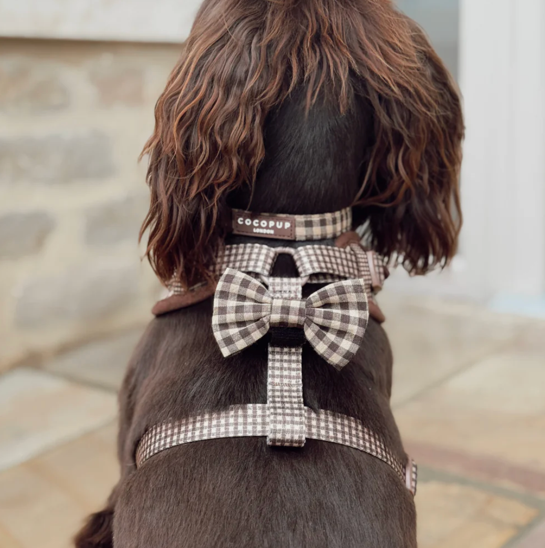Cotswolds Check COLLAR: Large