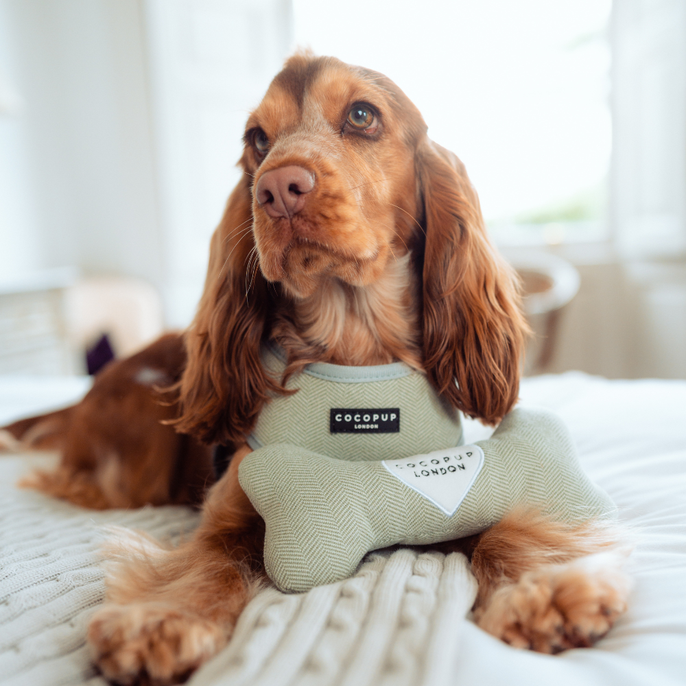 Sage Tweed Bone Toy