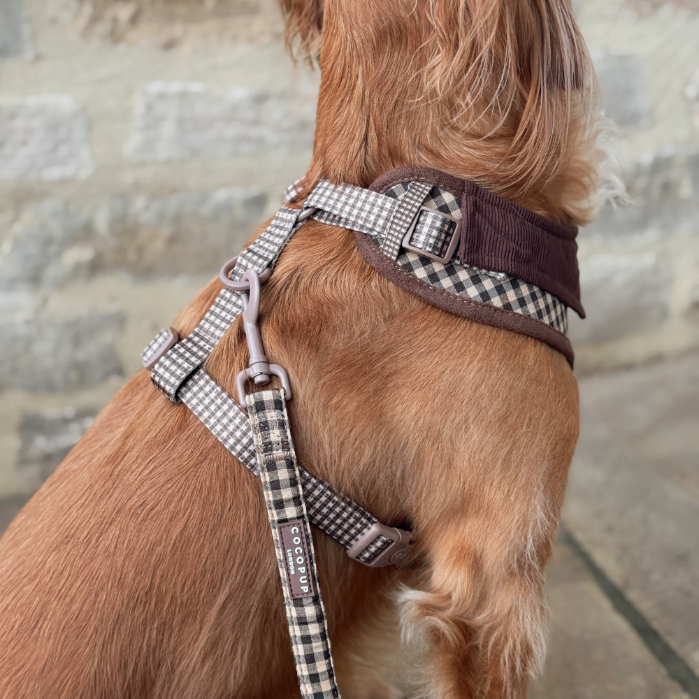 Cotswolds Check Lead