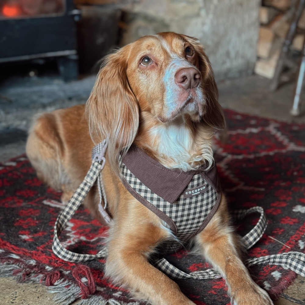 Cotswolds Check Adjustable Neck HARNESS: M