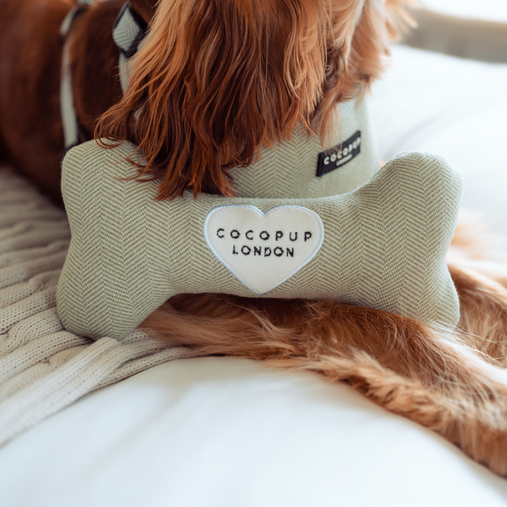 Sage Tweed Bone Toy