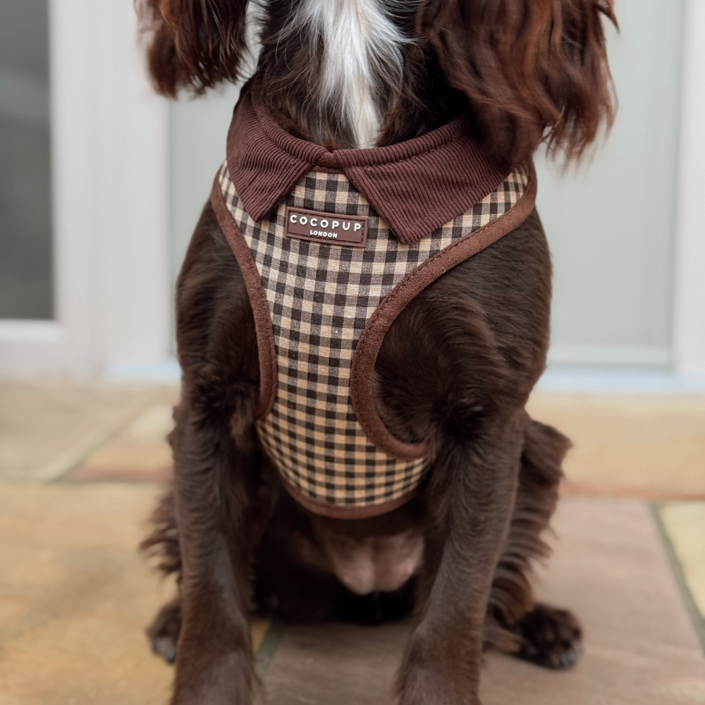 Cotswolds Check Adjustable Neck HARNESS: S