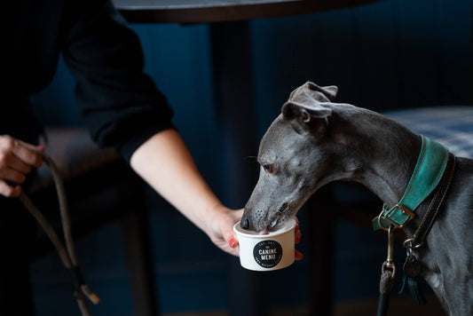 Puppuccino