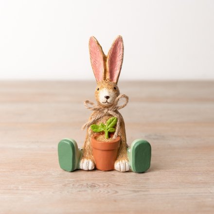 Jasper Rabbit House Plant, 12cm