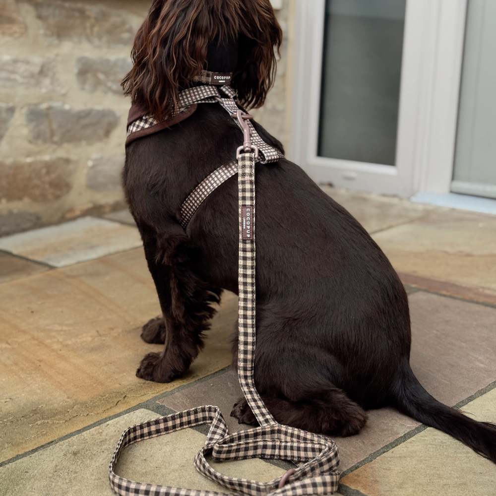 Cotswolds Check Lead