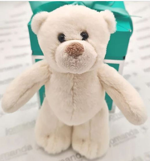 Mini Cream Soft Toy Plush Bear