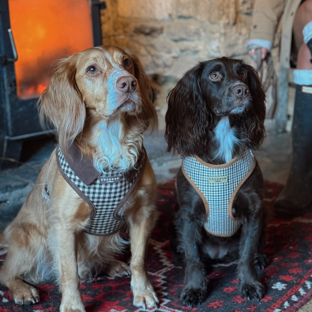 Cotswolds Check Adjustable Neck HARNESS: M