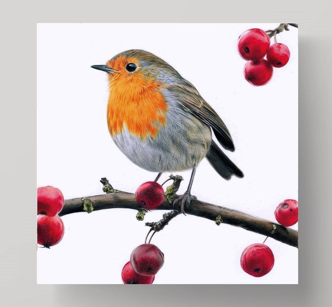 Robin Card