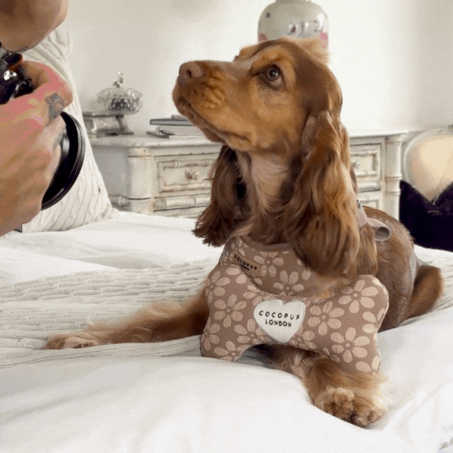 Mocha Flower Bone Toy