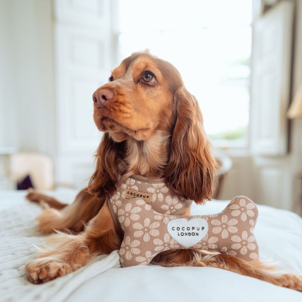 Mocha Flower Bone Toy