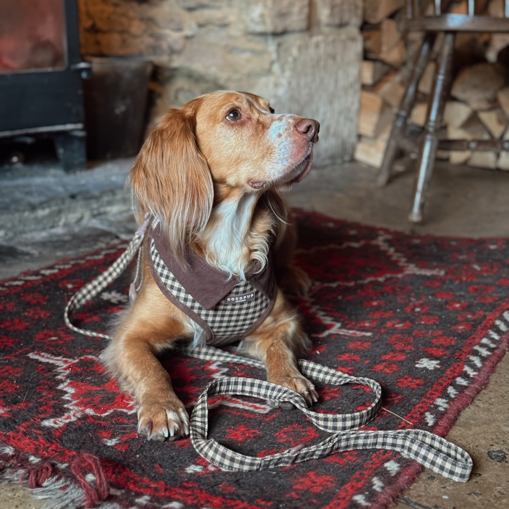 Cotswolds Check Adjustable Neck HARNESS: S
