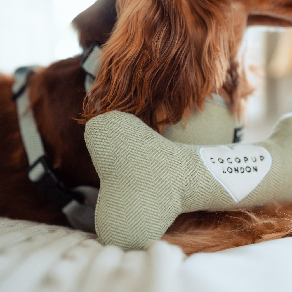 Sage Tweed Bone Toy