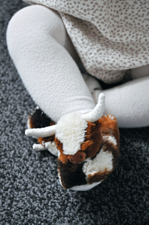 Texas Longhorn Highland Cow Baby Slippers 0-6 monthd, brown and Cream, in gift box