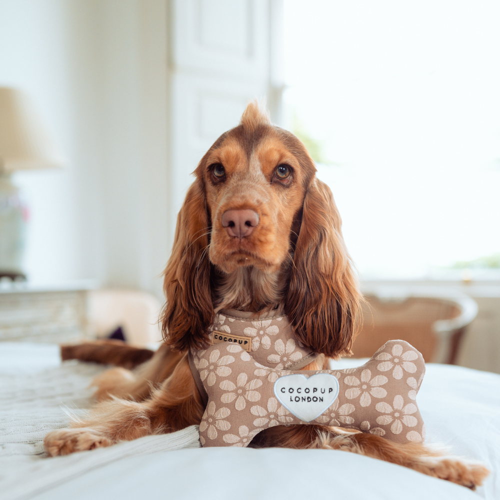 Mocha Flower Bone Toy