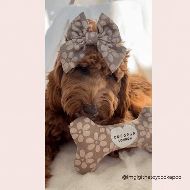Mocha Flower Bone Toy