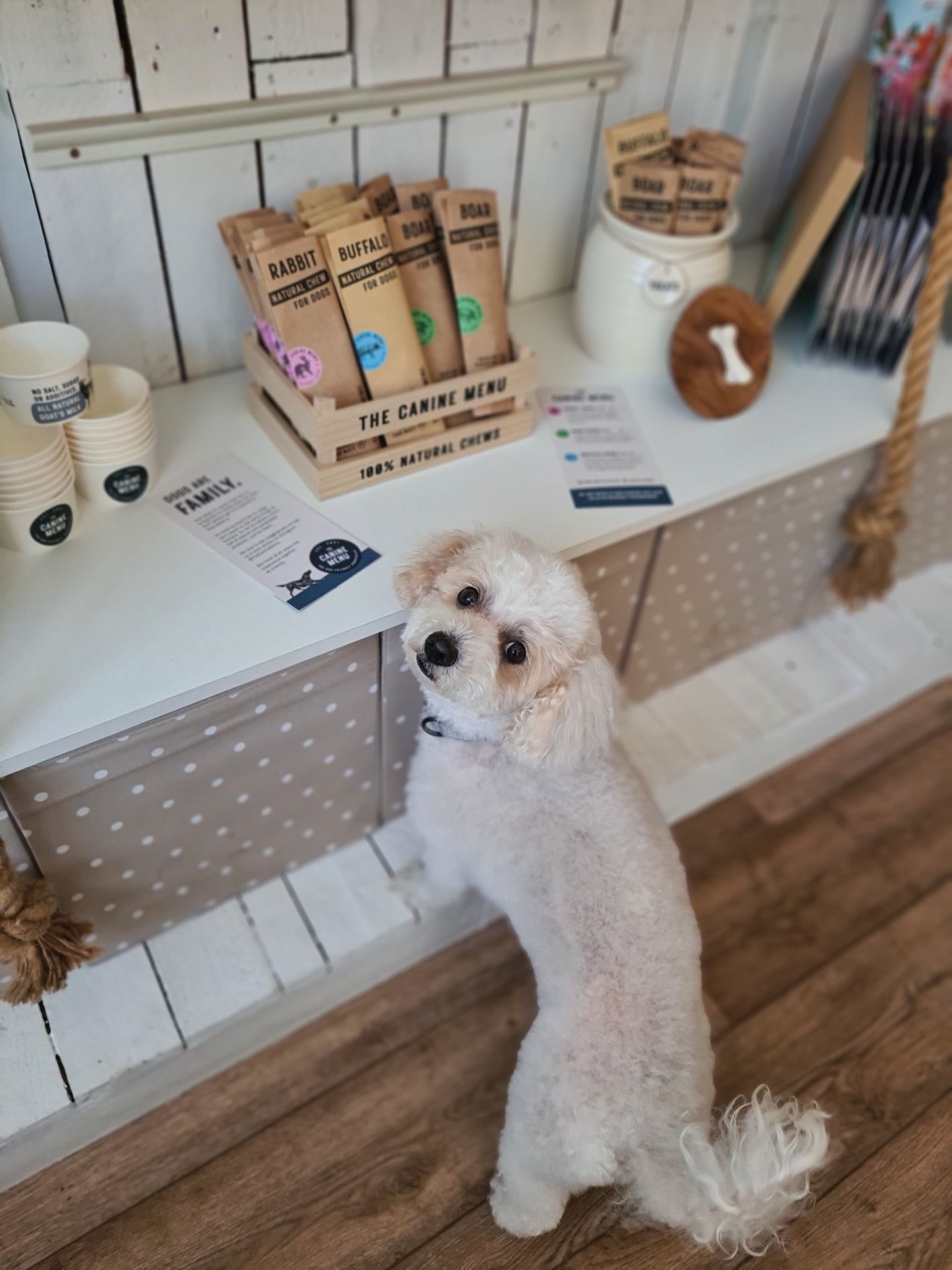 Dog Chews - Rabbit, Boar or Buffalo