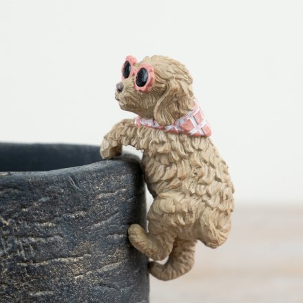 Dog Pot Hanger, 9cm