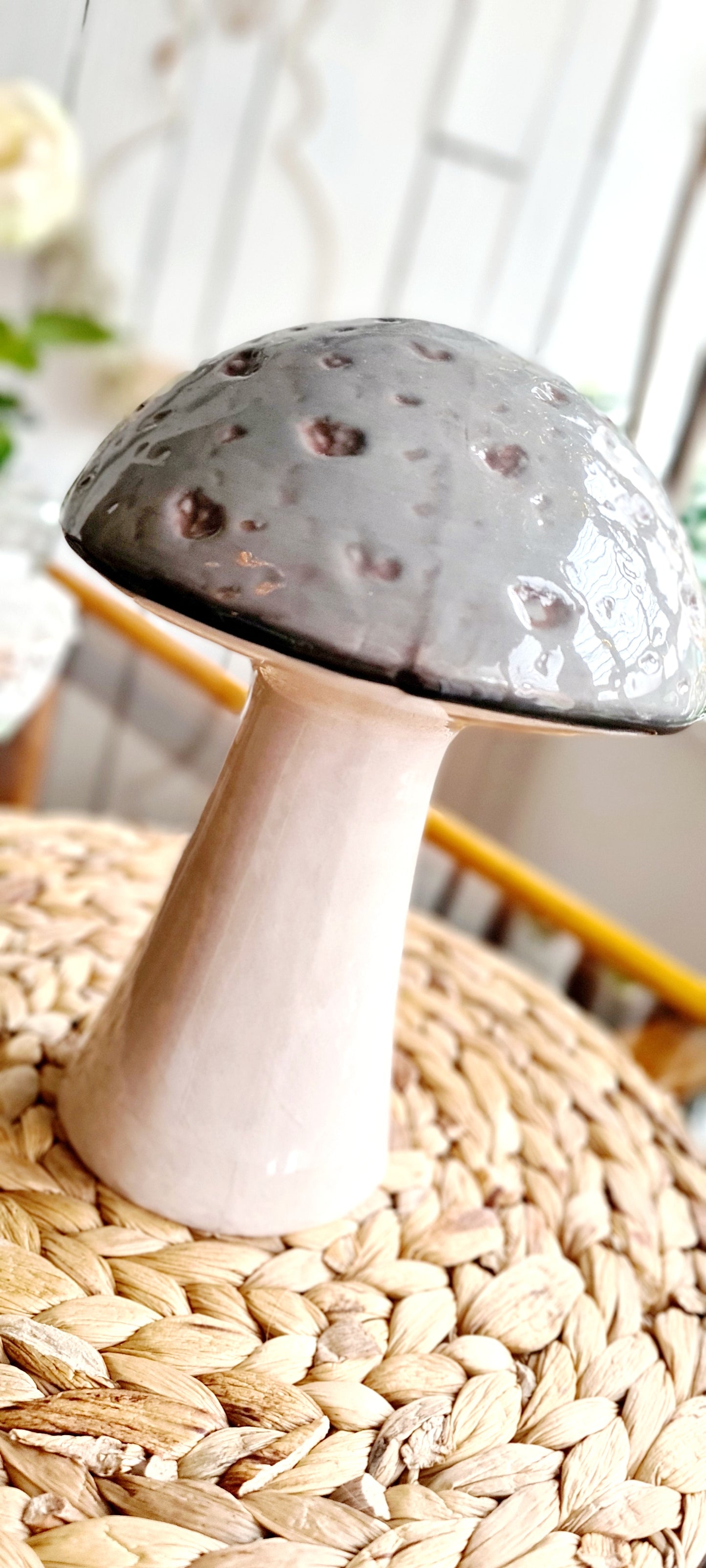 Ceramic Mushroom