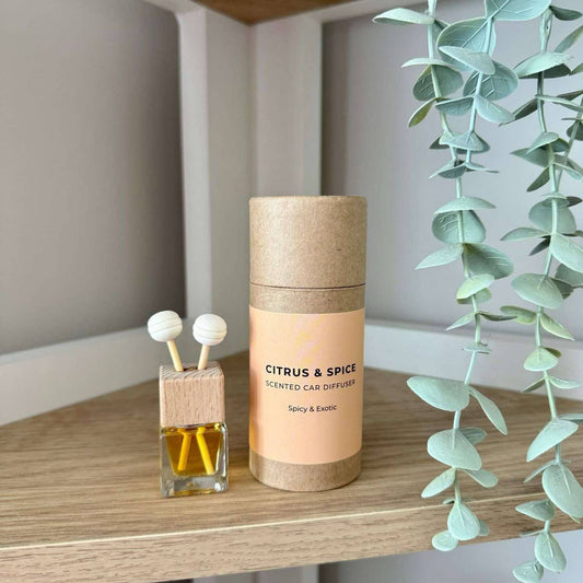 Citrus and Spice Car Diffuser